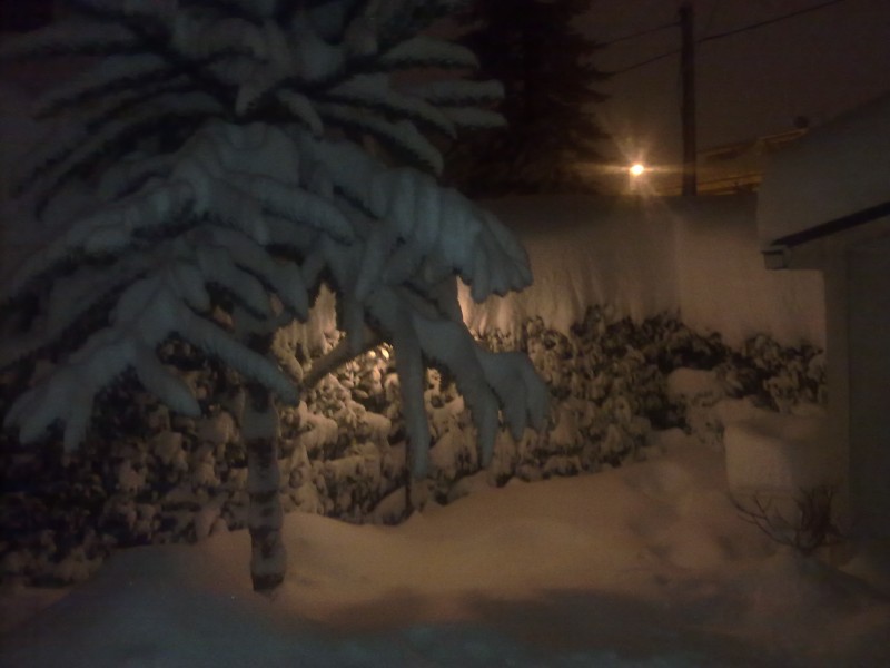 03022012122.jpg